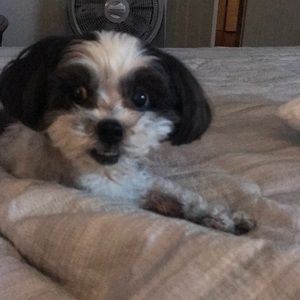 Meet your Posher, Eve